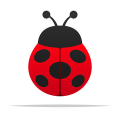 Obraz premium Red ladybug vector isolated illustration