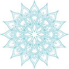 Beautiful flower art and mandala vector design