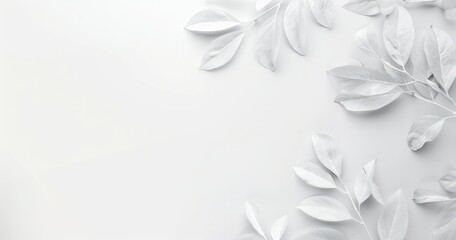 A minimalist composition featuring white leaves on a light background.