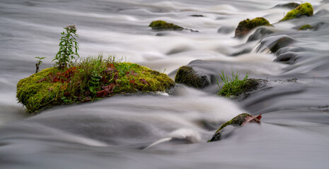 Island In the stream