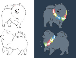 夜の散歩で光るポメラニアンの手書きイラスト © kayo