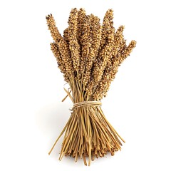 Fresh Sorghum Bundle in High Definition View