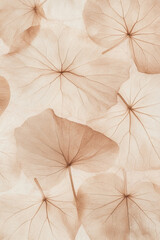 Delicate translucent leaves in soft pastel tones