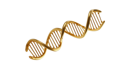 gold DNA (png)