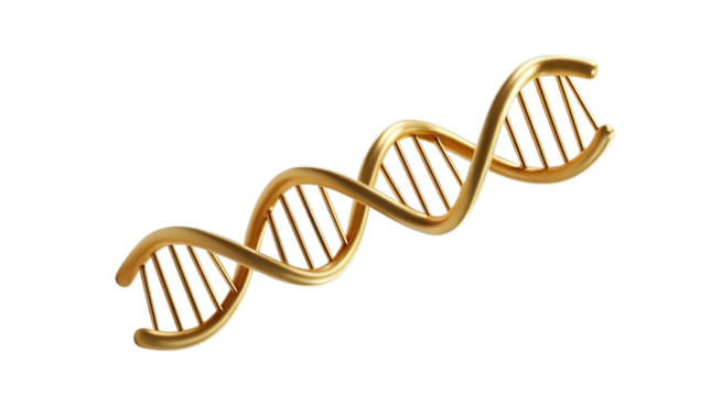 gold DNA (png)
