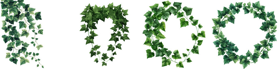 Naklejka premium Lush and verdant green ivy vines cascading down and covering a surface creating a natural botanical garden like background texture and wallpaper design