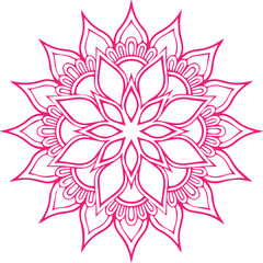 Beautiful flower art and mandala vector design