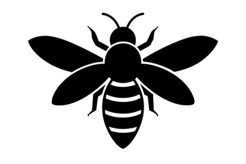 bee icon