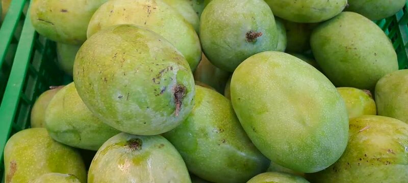 close up of A pile of fresh green mangoes, on display at a fruit shop