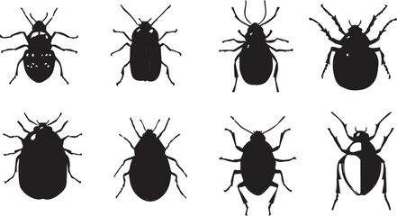A set of insects silhouettes for flat design. Hand drawn vector illustration