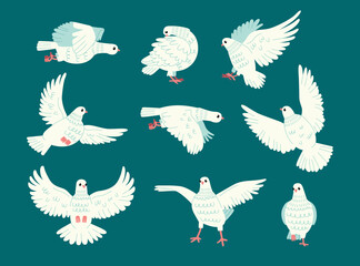 Funny white pigeons. Cartoon dove character, urban birds, symbol of peace and love, wedding mascot, flying, sitting, standing, vector set