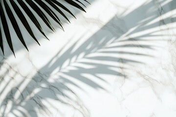 Obraz premium Elegant shadows of palm leaves create striking contrast on light