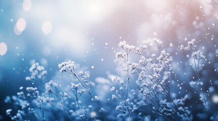 winter background with frozen flowers and snow