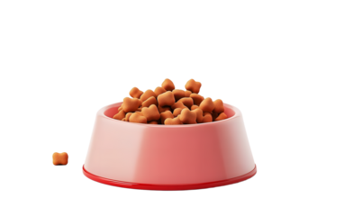 Cartoon pet bowl and pet food in the white background, 3d rendering.