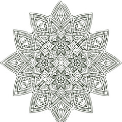 Beautiful flower art and mandala vector design