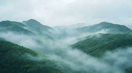 Fototapeta premium Misty green mountains, serene landscape, nature background, perfect for travel brochures