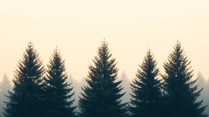 Obraz premium Misty morning forest silhouette; peaceful nature scene, ideal for calming backgrounds or travel brochures
