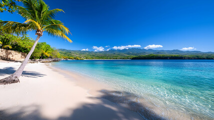Serene Tropical Beach with Palm Tree and Clear Turquoise Water