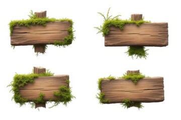 Weathered Wooden Signs with Moss and Vines