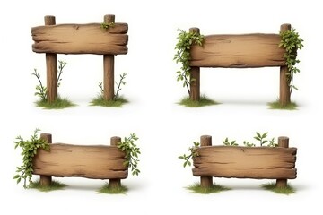 Weathered Wooden Signs with Moss and Vines