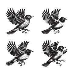 High-Quality Black   Vector Silhouette of the American Robin Bird on White Background