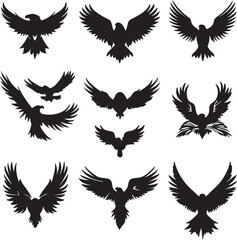 eagle bird
