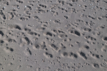 Random and irregular human footprints on the sand at the beach. people walking on the beach