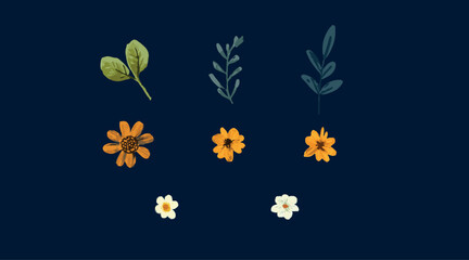 Flowers and leaves vector illustration elements isolated on dark background