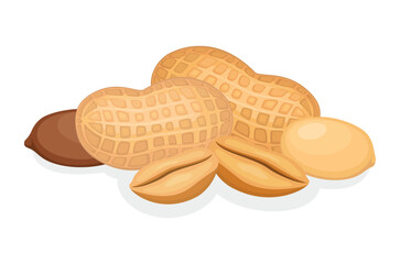 Peanut nuts icon set vector isolated on a white background. Roasted peanuts in shell drawing. Pile of peanuts vector illustration