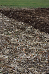 Cut Corn field near plowed field and green meadow on winter season n the italian countryside