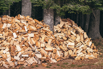 Firewood stacked and drying in the forest, ready for winter and the fireplace