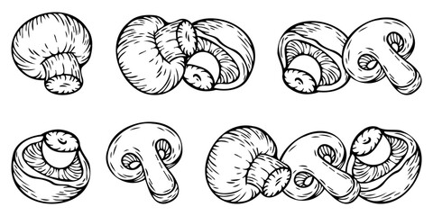Champignon hand drawn set.  Make for menu, recipes and package design or branding. Vector sketch food illustration. 