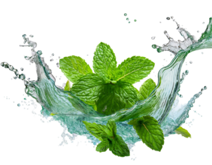 Crisp green mint leaves splashing in water, isolated on transparent background.