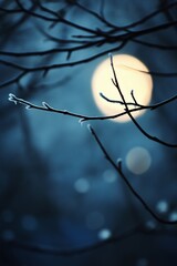 Bare tree branches lightly covered in frost, silhouetted against a glowing full moon on a cold winter night, creating a serene and mysterious atmosphere