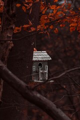 Vogelhäuschen im Wald Herbst 