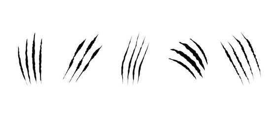 Cat scratch. Realistic set of animal claw marks isolated on white background. Black marks of cats tiger lion or wild animals. Flat vector illustration.