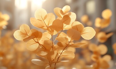 Sunlit Golden Eucalyptus: A Delicate Botanical Study