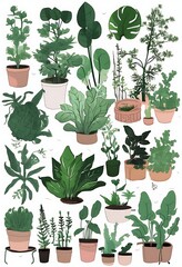 plants in pots