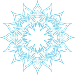 Beautiful flower art and mandala vector design