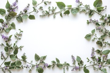 Obraz premium Lilac Flower Frame: Elegant Floral Border, Spring Wreath, White Background, Botanical Design, 