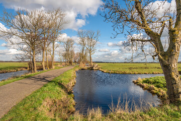 Picturesque Dutch polder landscape with a country road, ditches and bare trees. The photo was taken...