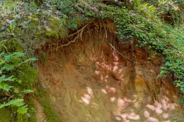 Ochre deposit near Roussillon