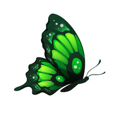 Bright green butterfly in neon colors. Colorful winged insect on white background. Vector isolated element