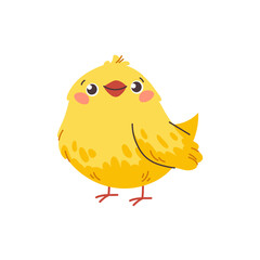 Cute yellow chicken on white background. Hand drawn spring bird, vector isolated character