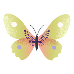 Cute butterfly in yellow colors. Spring and summer element in watercolor style. Hand drawn illustration.