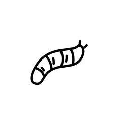 insect outline