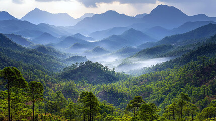 Majestic Mountain Landscape: Serene Hills, Lush Forests, and Misty Peaks