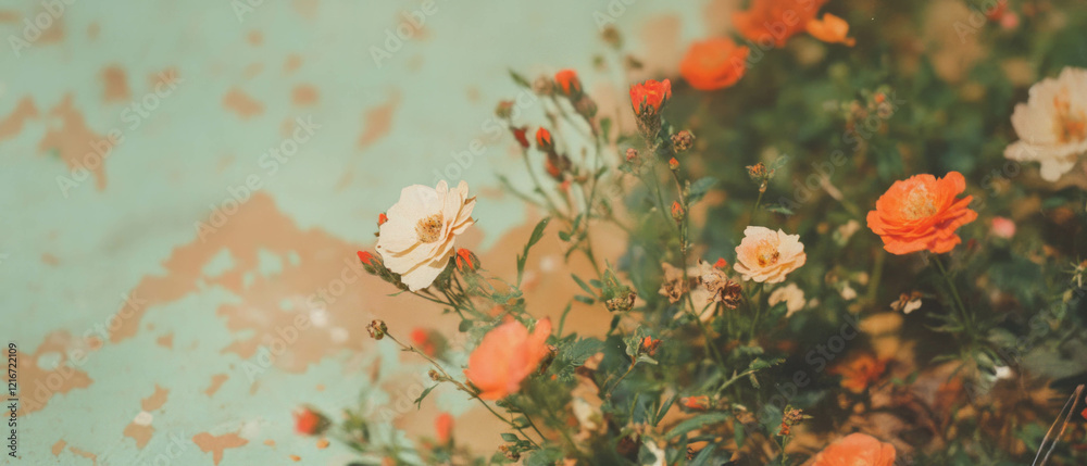 Poster textured paper featuring embedded flowers and natural elements in warm tones and soft hues