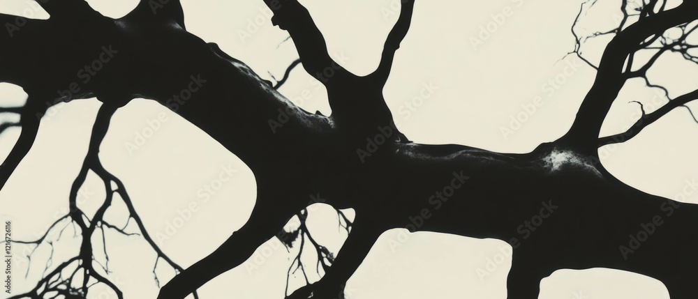 Poster veined black ink patterns resembling natural branching lines on a white background