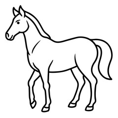 horse line art vector